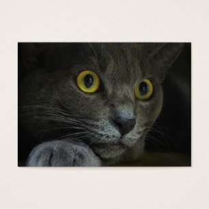 強度ブックマーク