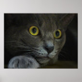 強度プリント ポスター (正面)