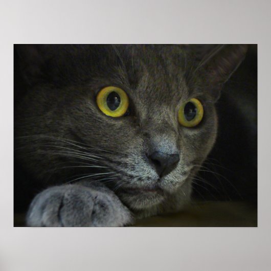 強度プリント ポスター (正面)