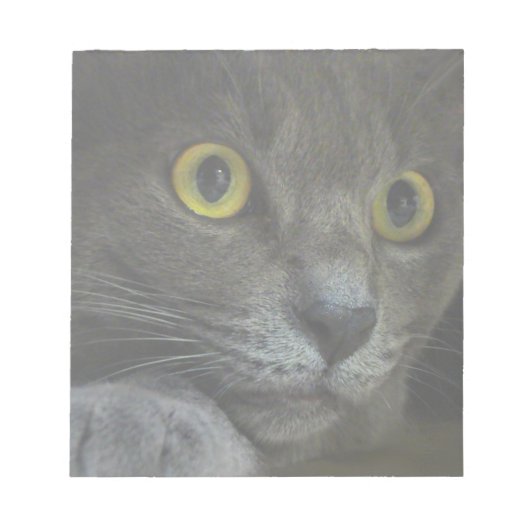 強度メモ帳 ノートパッド (正面)