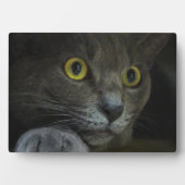 強度写真プラーク フォトプラーク (正面)