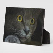 強度写真プラーク フォトプラーク (側面)