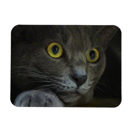 強度可撓磁石 マグネット (横)