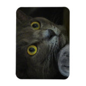 強度可撓磁石 マグネット (縦)