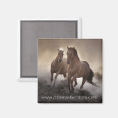 強度磁石 マグネット (正面/裏面)