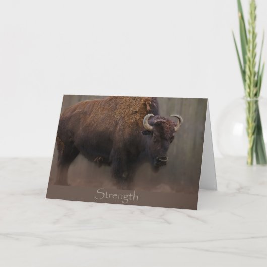 強度 カード (正面)