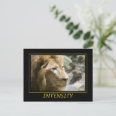 強度 ポストカード (スタンド正面)