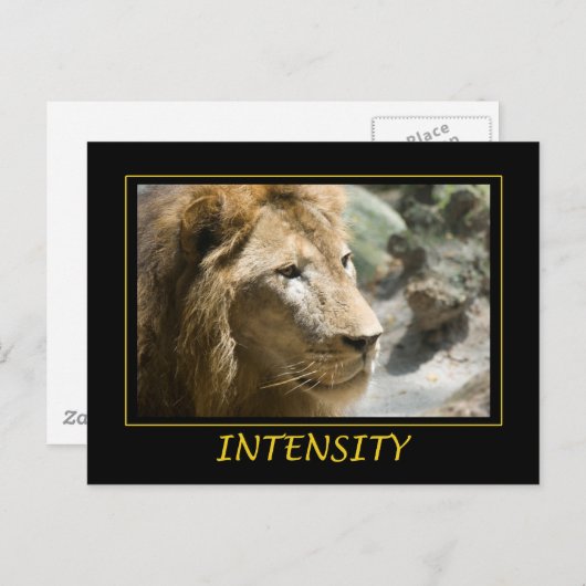 強度 ポストカード (正面/裏面)