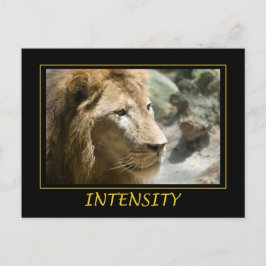 強度 ポストカード