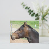 強度 ポストカード (スタンド正面)