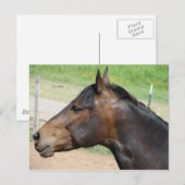 強度 ポストカード (正面/裏面)