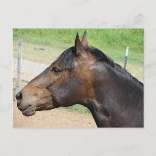 強度 ポストカード (正面)