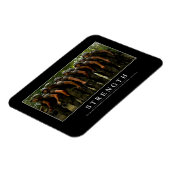 強度：感動的引用文 マグネット (左側)