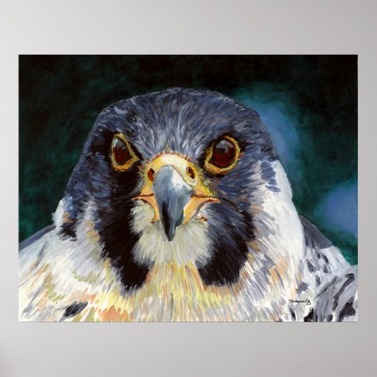 強度 – 《鳥》ハヤブサの視線 ポスター (正面)