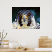 強度 – 《鳥》ハヤブサの視線 ポスター (キッチン)