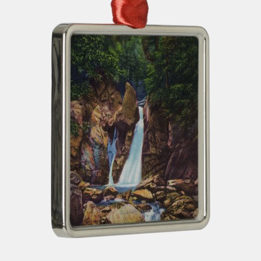 強打Bishの眺めはすばらしいバリントンの近くで下ります メタルオーナメント (右)