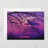 強烈で鮮やかな – 紫の夕日の風景 ポストカード (正面/裏面)