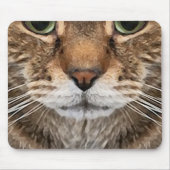 強烈なトラ猫の顔 - 緑の目 Phot マウスパッド (正面)