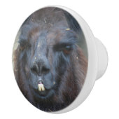 強烈なブラックラマ顔クローズアップ セラミックノブ (右)