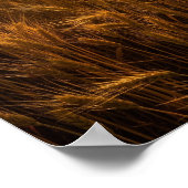 強烈な夜間太陽 ポスター (角)