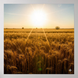 強烈な夜間太陽 ポスター