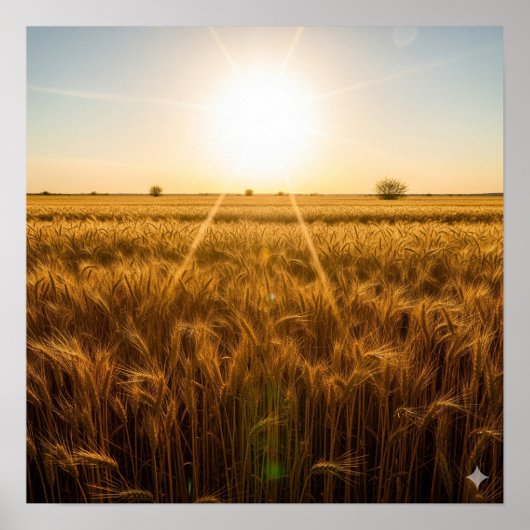 強烈な夜間太陽 ポスター (正面)