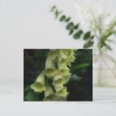 強烈な花束 ポストカード (スタンド正面)