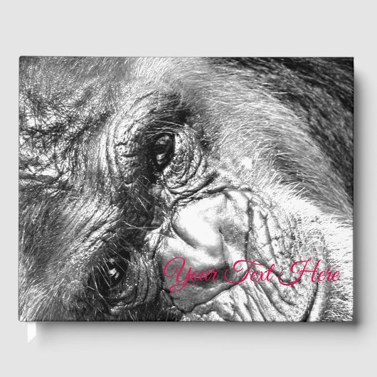 強烈な視線 ゲストブック (正面)