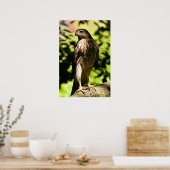 強烈な視線 ポスター (キッチン)