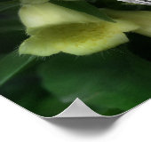 強烈なFoxglove花フレームあなたの写真を追加 ポスター (角)