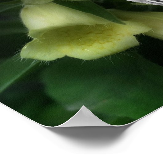 強烈なFoxglove花フレームあなたの写真を追加 ポスター (角)