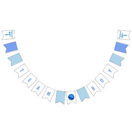 弾力がある球が付いているチーム男の子の青 バンティングフラッグ