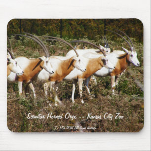 彎曲刀の角状のオリックスのmousepad マウスパッド