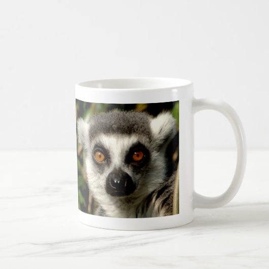 当惑させていたLemurのマグ コーヒーマグカップ (右)