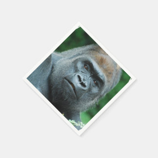 当惑ゴリラ スタンダードカクテルナプキン