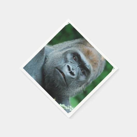 当惑ゴリラ スタンダードカクテルナプキン (角)