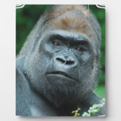 当惑ゴリラ フォトプラーク (正面)