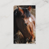 当歳の名刺 名刺 (裏面)