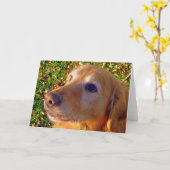 彗星だ座れ良い子を残せ！ カード (黄色い花)