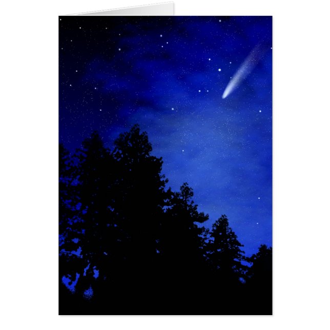 彗星の夜 (正面)