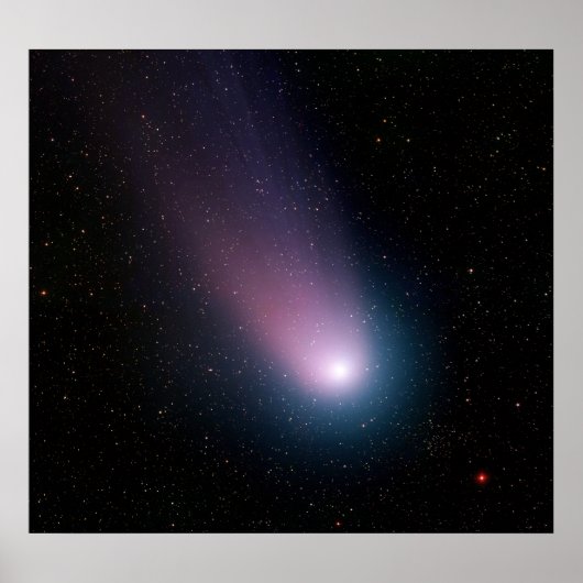 彗星C/2001年第4四半期の画像(NAT) ポスター (正面)