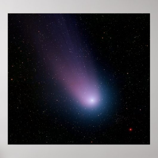 彗星NAT ポスター (正面)