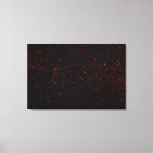 彗星P：シューメーカー – レヴィ9 キャンバスプリント (正面)