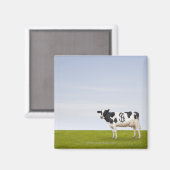 形の斑点のあるホルスタイン乳牛 マグネット (正面/裏面)