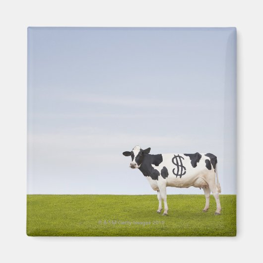 形の斑点のあるホルスタイン乳牛 マグネット (正面)