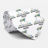 形態形成の内部(ミバエのショウジョウバエの遺伝子) ネクタイ (ロール)