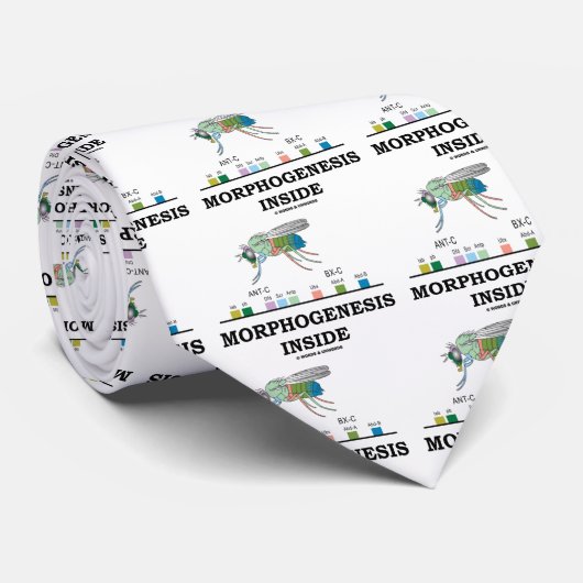 形態形成の内部(ミバエのショウジョウバエの遺伝子) ネクタイ (ロール)