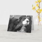 形成するものおよびチャールズFjalar無頓着な王スパニエル犬 カード (黄色い花)