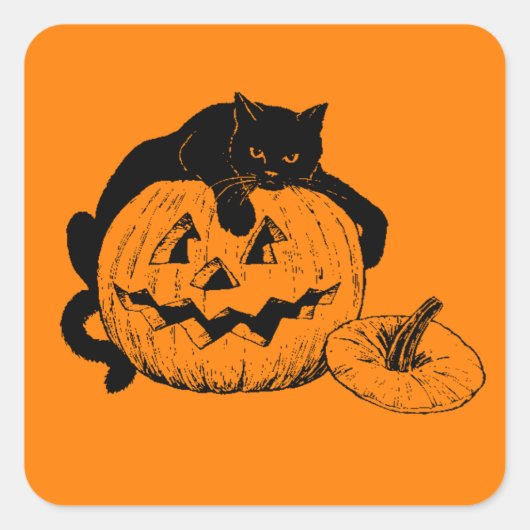 彫りかぼちゃの上に寝そべる黒猫 スクエアシール (正面)