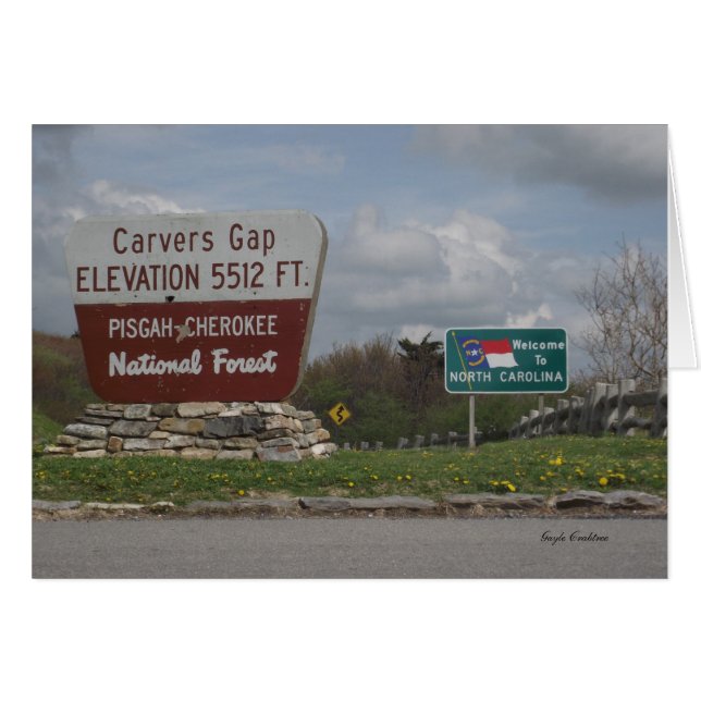 彫り師のギャップのPisgahチェロキー国有林TN NC (正面横)